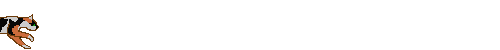 calicorunning